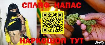 эйфоретик Владимир