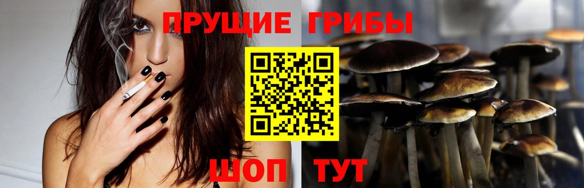 Галлюциногенные грибы Cubensis Карталы