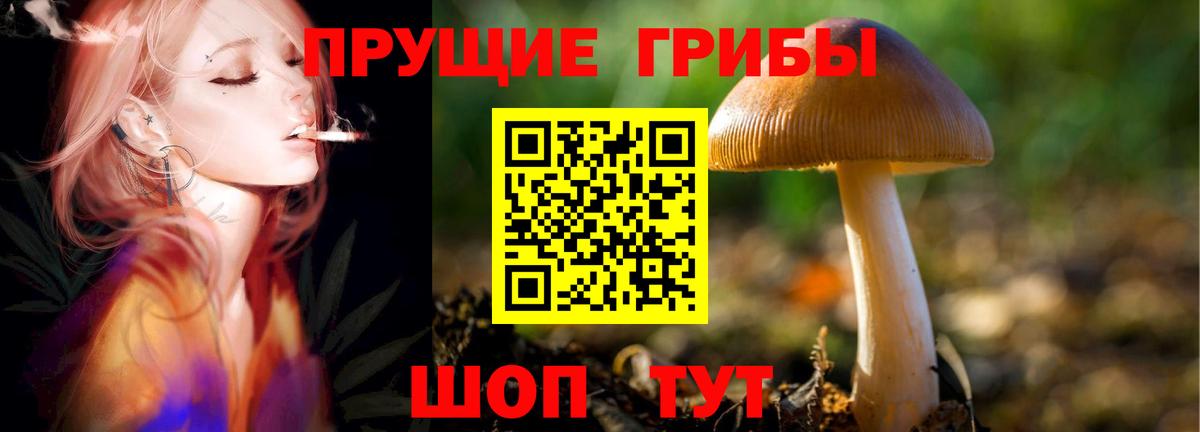 Карталы  Псилоцибиновые грибы мицелий  Галлюциногенные грибы Psilocybe  Вход с VPN 